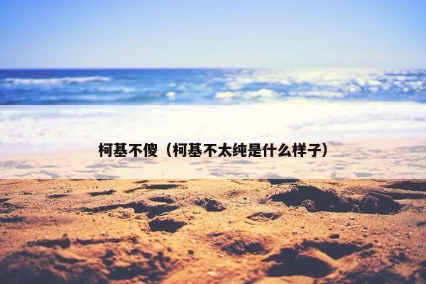 柯基不傻（柯基不太纯是什么样子）