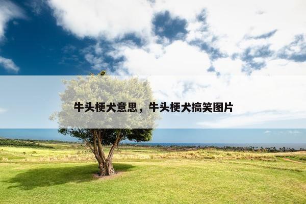 牛头梗犬意思，牛头梗犬搞笑图片
