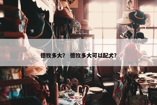 德牧多大？ 德牧多大可以配犬？