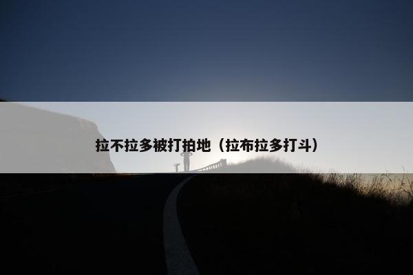 拉不拉多被打拍地（拉布拉多打斗）