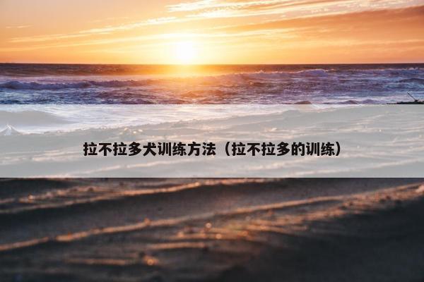 拉不拉多犬训练方法（拉不拉多的训练）