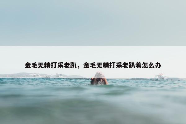 金毛无精打采老趴，金毛无精打采老趴着怎么办