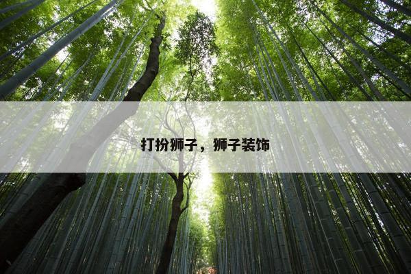 打扮狮子，狮子装饰