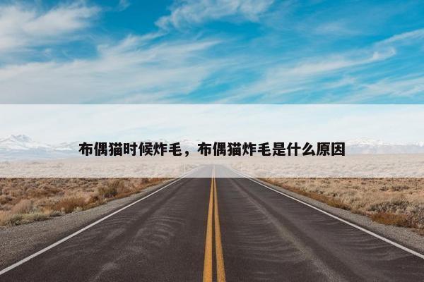 布偶猫时候炸毛，布偶猫炸毛是什么原因