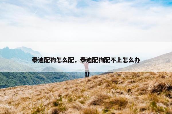 泰迪配狗怎么配，泰迪配狗配不上怎么办
