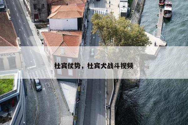 杜宾仗势，杜宾犬战斗视频