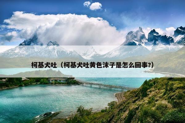 柯基犬吐（柯基犬吐黄色沫子是怎么回事?）