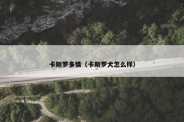 卡斯罗多情（卡斯罗犬怎么样）
