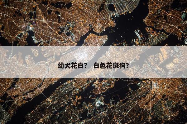 幼犬花白？ 白色花斑狗？