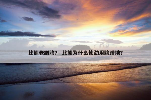 比熊老蹭脸？ 比熊为什么使劲用脸蹭地？