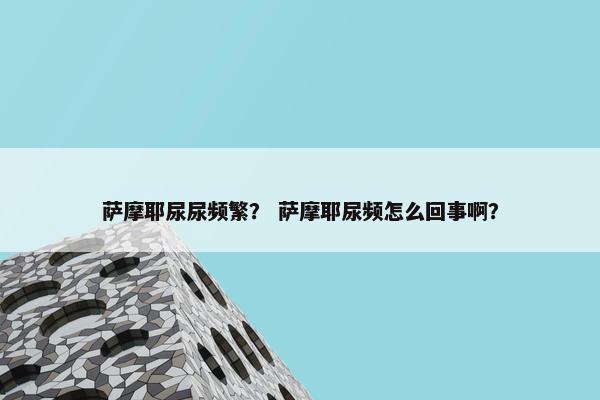 萨摩耶尿尿频繁？ 萨摩耶尿频怎么回事啊？