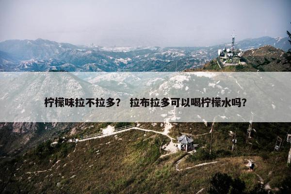 柠檬味拉不拉多？ 拉布拉多可以喝柠檬水吗？