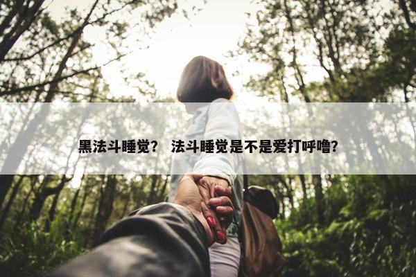 黑法斗睡觉？ 法斗睡觉是不是爱打呼噜？