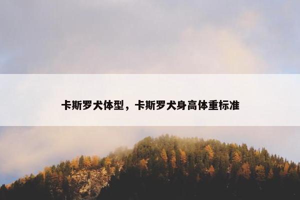 卡斯罗犬体型，卡斯罗犬身高体重标准