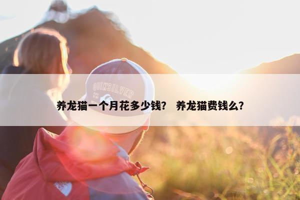 养龙猫一个月花多少钱？ 养龙猫费钱么？