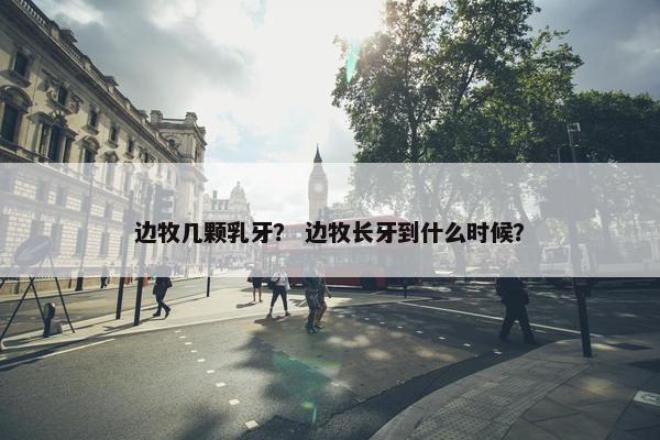 边牧几颗乳牙？ 边牧长牙到什么时候？