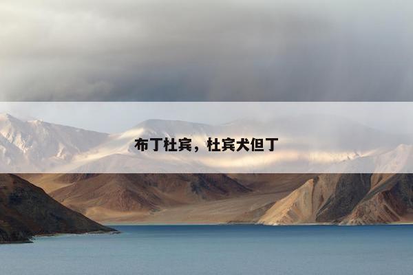 布丁杜宾，杜宾犬但丁