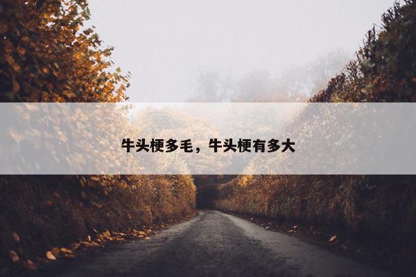 牛头梗多毛，牛头梗有多大