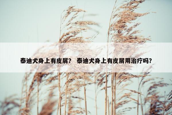 泰迪犬身上有皮屑？ 泰迪犬身上有皮屑用治疗吗？