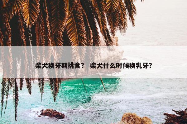 柴犬换牙期挑食？ 柴犬什么时候换乳牙？