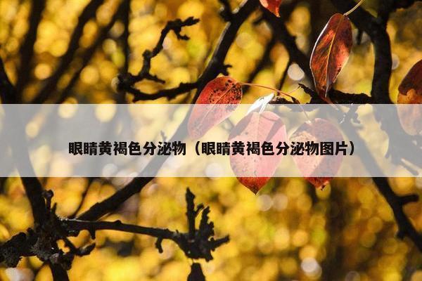 眼睛黄褐色分泌物（眼睛黄褐色分泌物图片）