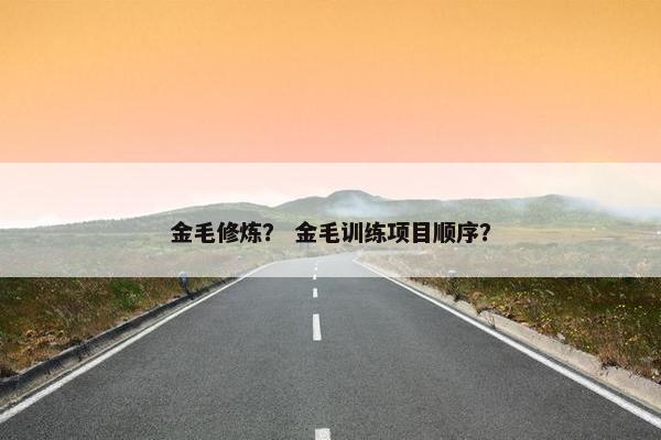 金毛修炼？ 金毛训练项目顺序？