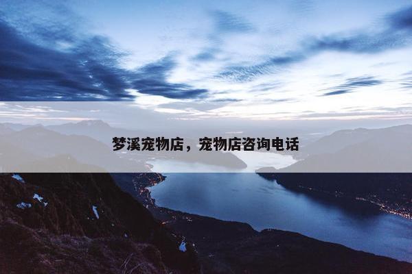 梦溪宠物店，宠物店咨询电话