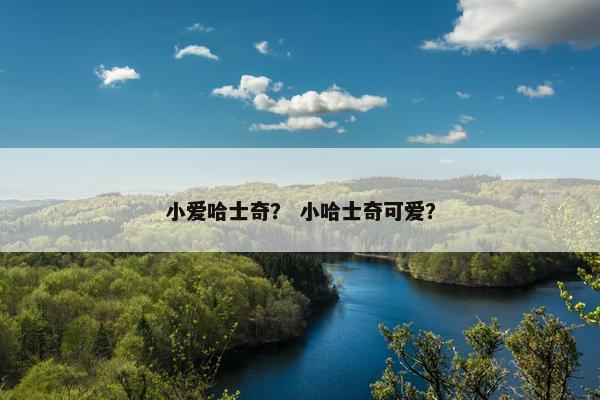 小爱哈士奇？ 小哈士奇可爱？