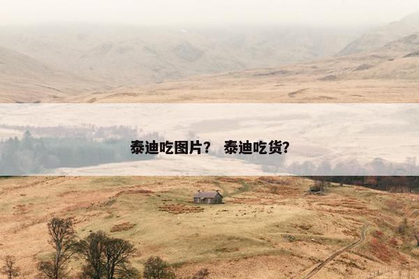 泰迪吃图片？ 泰迪吃货？