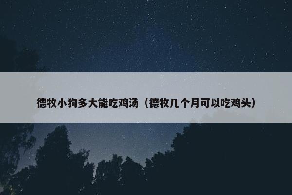 德牧小狗多大能吃鸡汤（德牧几个月可以吃鸡头）
