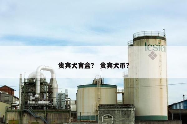 贵宾犬盲盒？ 贵宾犬币？