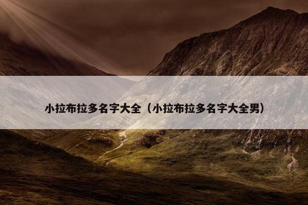 小拉布拉多名字大全（小拉布拉多名字大全男）