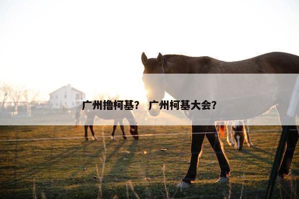 广州撸柯基？ 广州柯基大会？