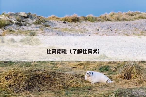 杜高南雄（了解杜高犬）