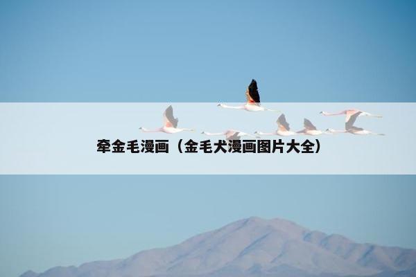 牵金毛漫画（金毛犬漫画图片大全）