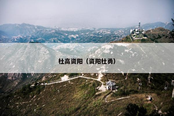杜高资阳（资阳杜勇）