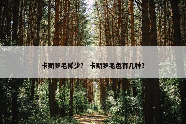 卡斯罗毛稀少？ 卡斯罗毛色有几种？