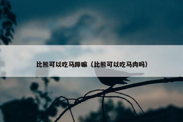 比熊可以吃马蹄嘛（比熊可以吃马肉吗）