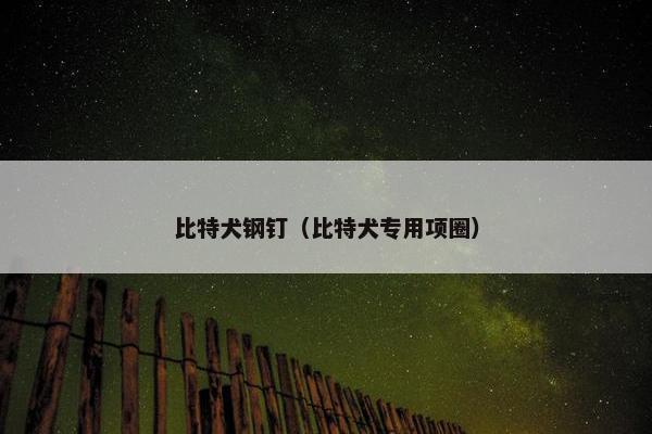 比特犬钢钉（比特犬专用项圈）