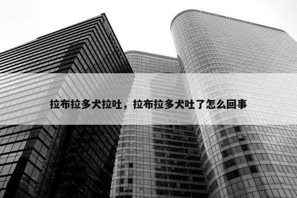 拉布拉多犬拉吐，拉布拉多犬吐了怎么回事