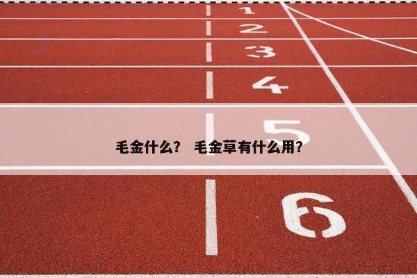 毛金什么？ 毛金草有什么用？
