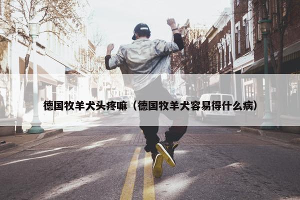 德国牧羊犬头疼嘛（德国牧羊犬容易得什么病）