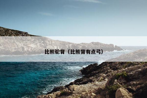 比熊驼背（比熊背有点弓）