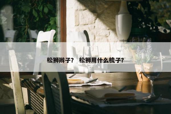 松狮辫子？ 松狮用什么梳子？