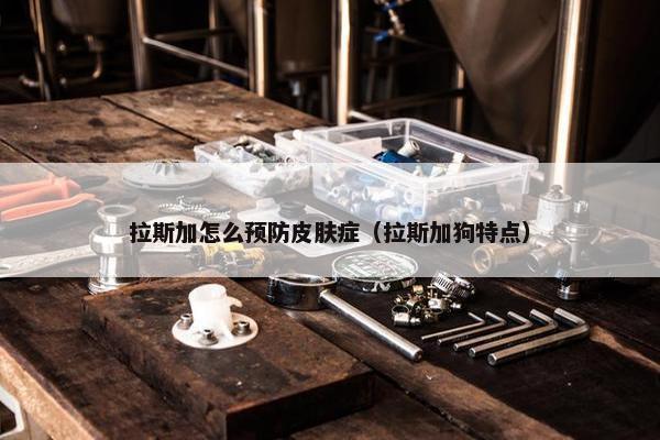 拉斯加怎么预防皮肤症（拉斯加狗特点）