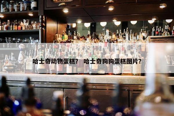 哈士奇动物蛋糕？ 哈士奇狗狗蛋糕图片？