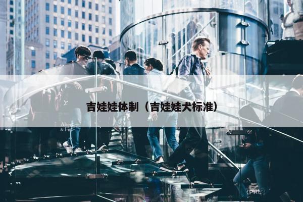 吉娃娃体制（吉娃娃犬标准）