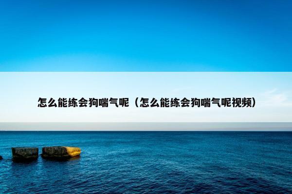 怎么能练会狗喘气呢（怎么能练会狗喘气呢视频）