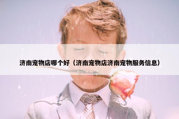 济南宠物店哪个好（济南宠物店济南宠物服务信息）