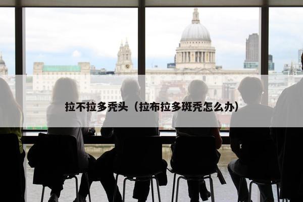 拉不拉多秃头（拉布拉多斑秃怎么办）